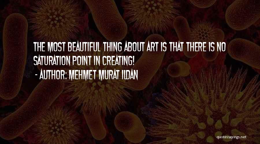 Saturation Quotes By Mehmet Murat Ildan