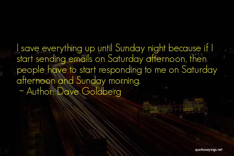 Saturday Afternoon Quotes By Dave Goldberg