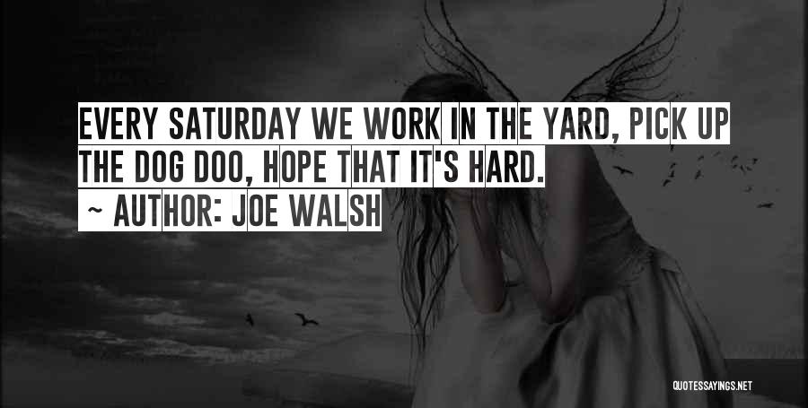 Saturday Work Quotes By Joe Walsh