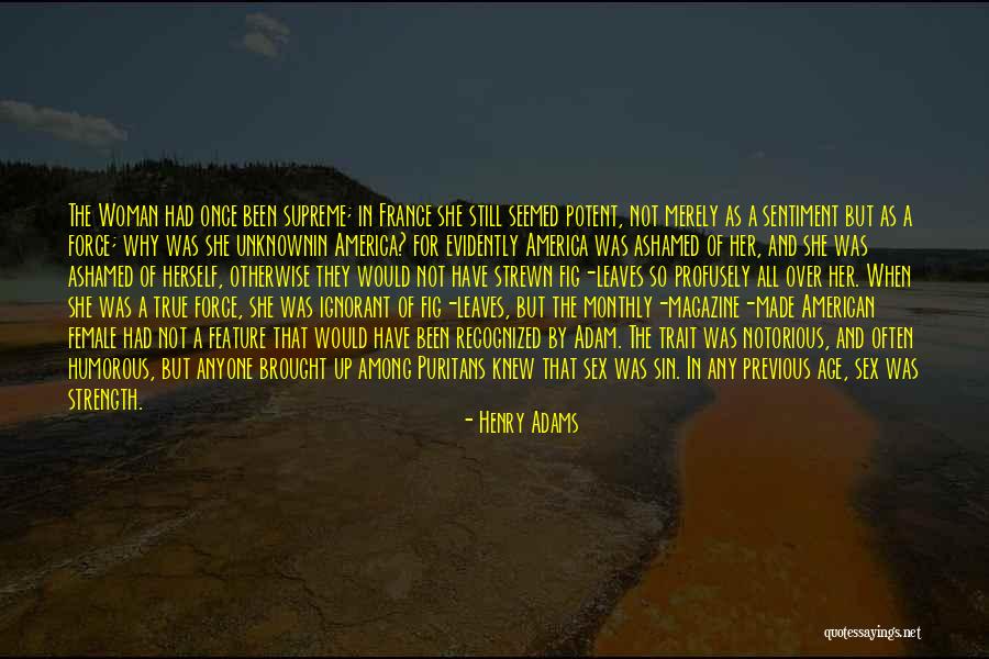 Satwant Quotes By Henry Adams Satwant Quotes By Henry Adams