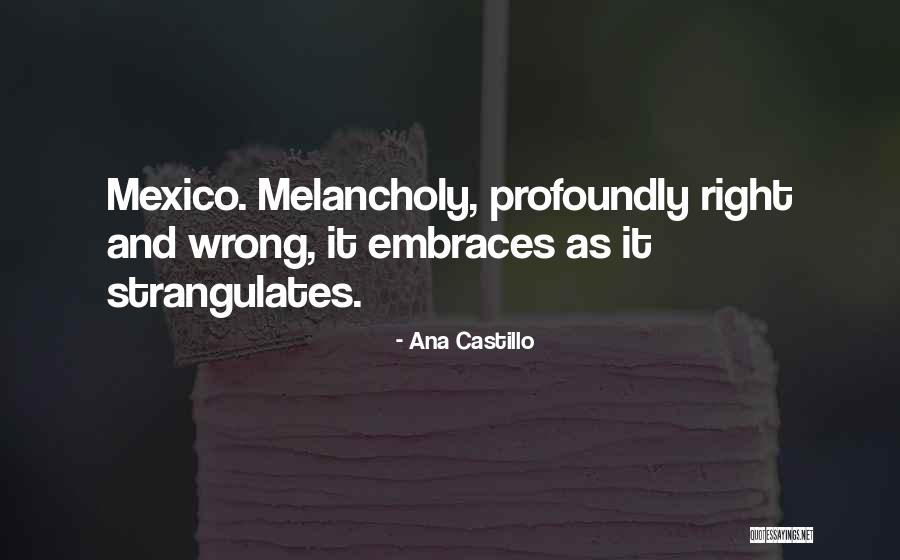 Satya Nani Quotes By Ana Castillo Satya Nani Quotes By Ana Castillo