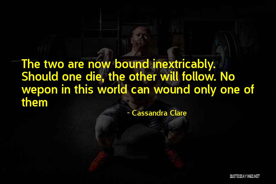 Saubhagya Lk Quotes By Cassandra Clare Saubhagya Lk Quotes By Cassandra Clare