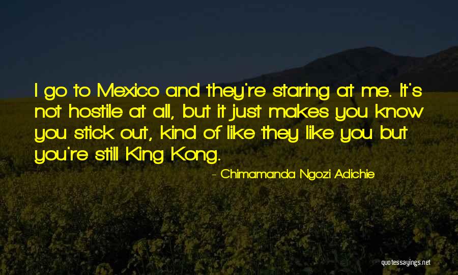 Saucery Quotes By Chimamanda Ngozi Adichie Saucery Quotes By Chimamanda Ngozi Adichie