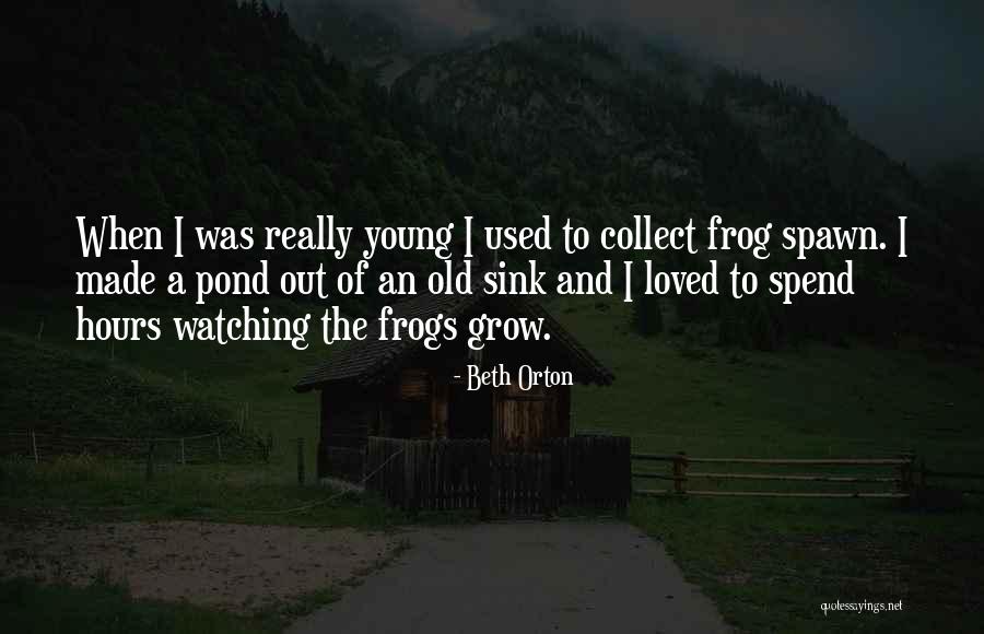 Sauciness In A Sentence Quotes By Beth Orton Sauciness In A Sentence Quotes By Beth Orton