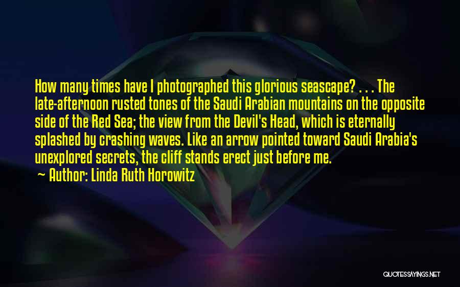 Saudi Arabia Quotes By Linda Ruth Horowitz