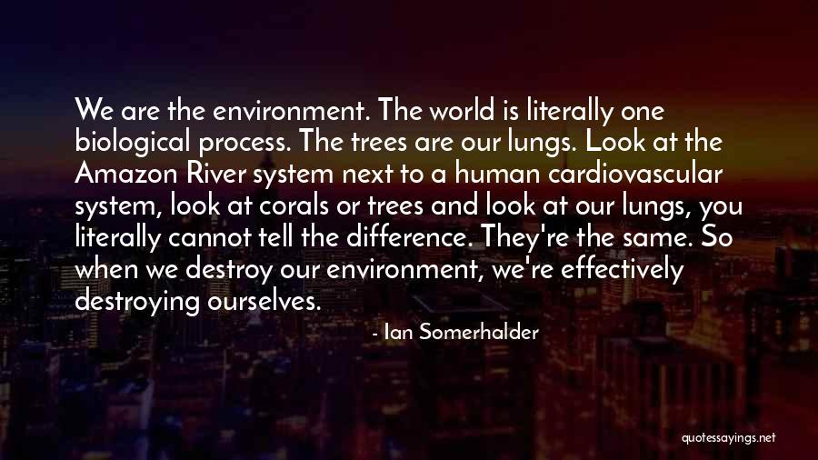 Saudia Online Quotes By Ian Somerhalder Saudia Online Quotes By Ian Somerhalder