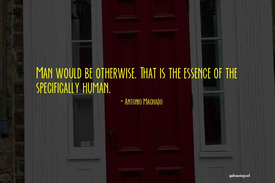 Sauerland Promotions Quotes By Antonio Machado Sauerland Promotions Quotes By Antonio Machado
