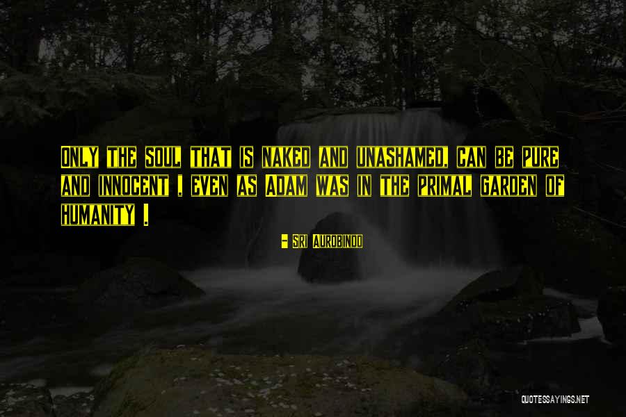 Sauerwein Family Wisdom Quotes By Sri Aurobindo Sauerwein Family Wisdom Quotes By Sri Aurobindo