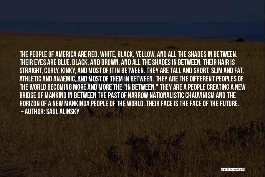 Saul Alinsky Quotes 1484122