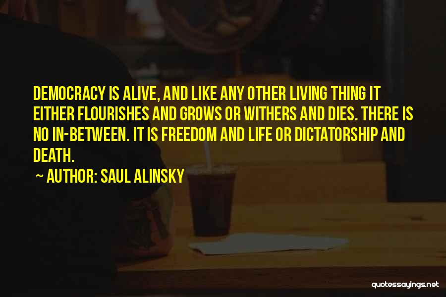 Saul Alinsky Quotes 1538063