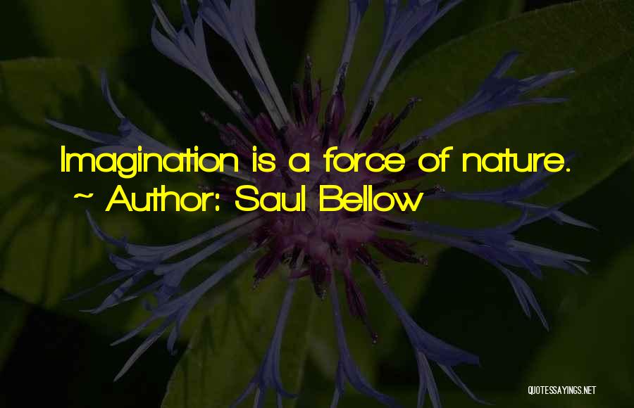 Saul Bellow Quotes 2177745