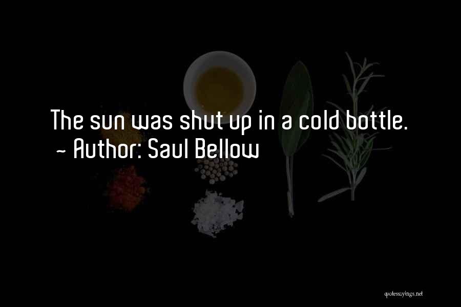 Saul Bellow Quotes 607646