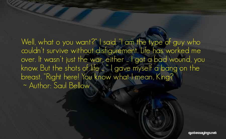 Saul Bellow Quotes 727409