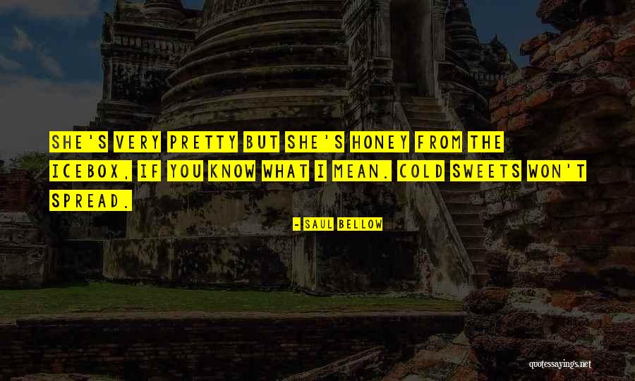 Saul Bellow's Quotes By Saul Bellow Saul Bellow's Quotes By Saul Bellow