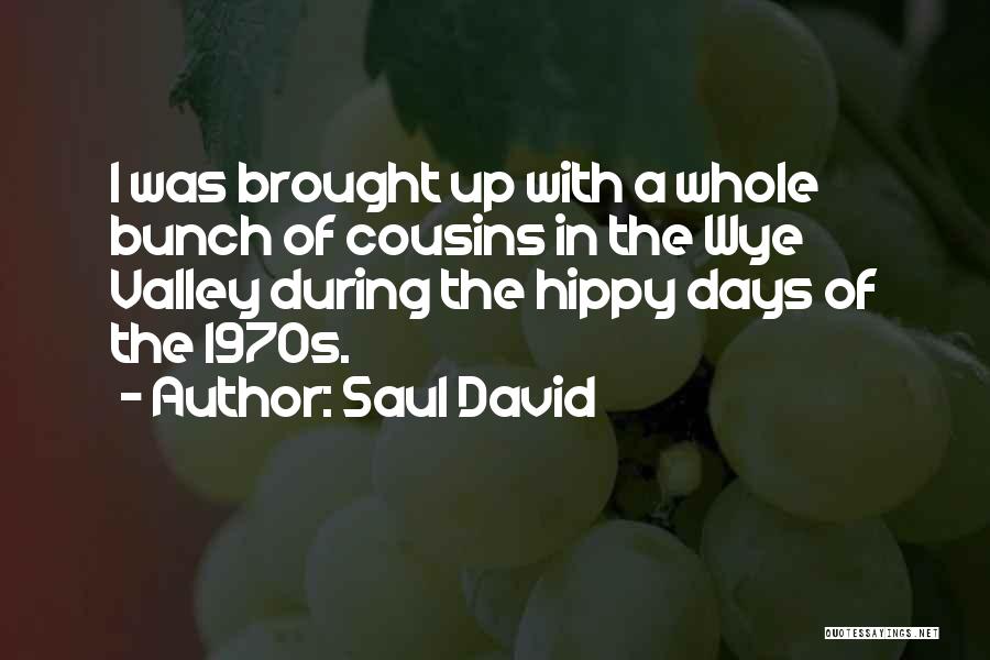 Saul David Quotes 1508471