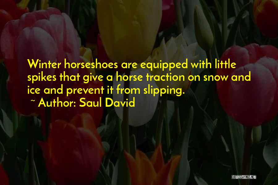 Saul David Quotes 2173210