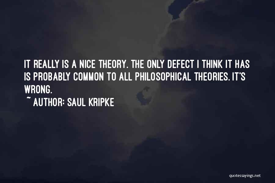 Saul Kripke Quotes 1711306