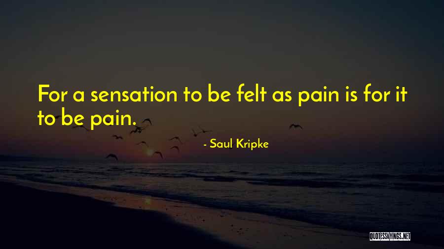 Saul Kripke Quotes 760857