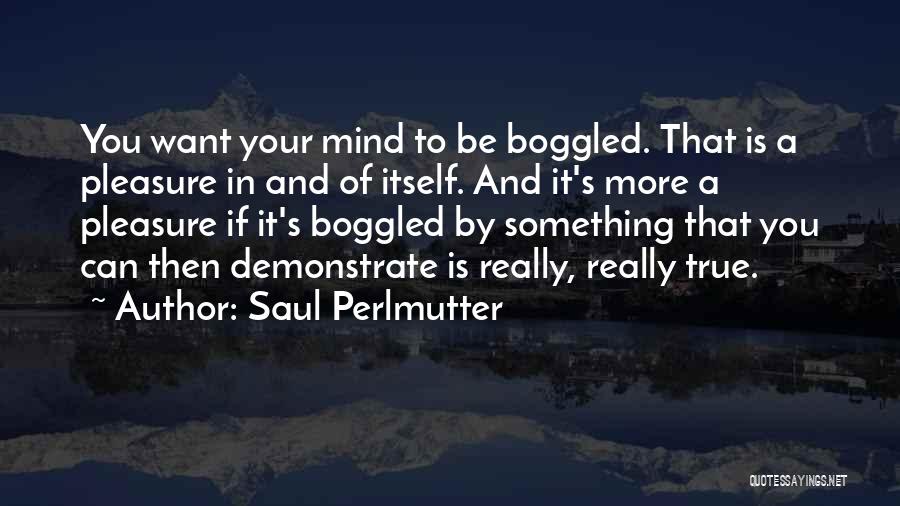 Saul Perlmutter Quotes 2076536