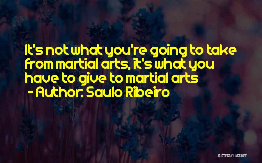 Saulo Ribeiro Quotes 1071088