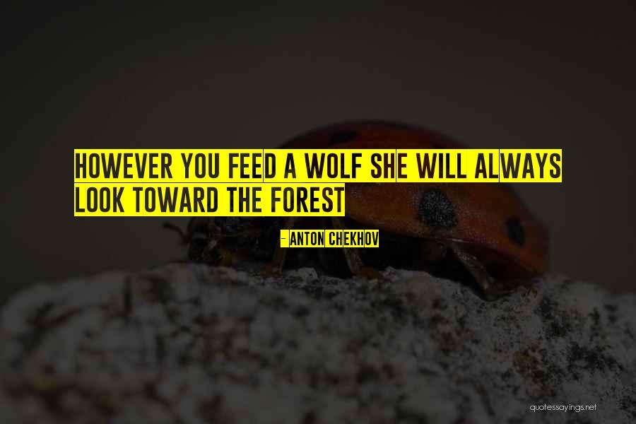 Saulo Sarmiento Quotes By Anton Chekhov