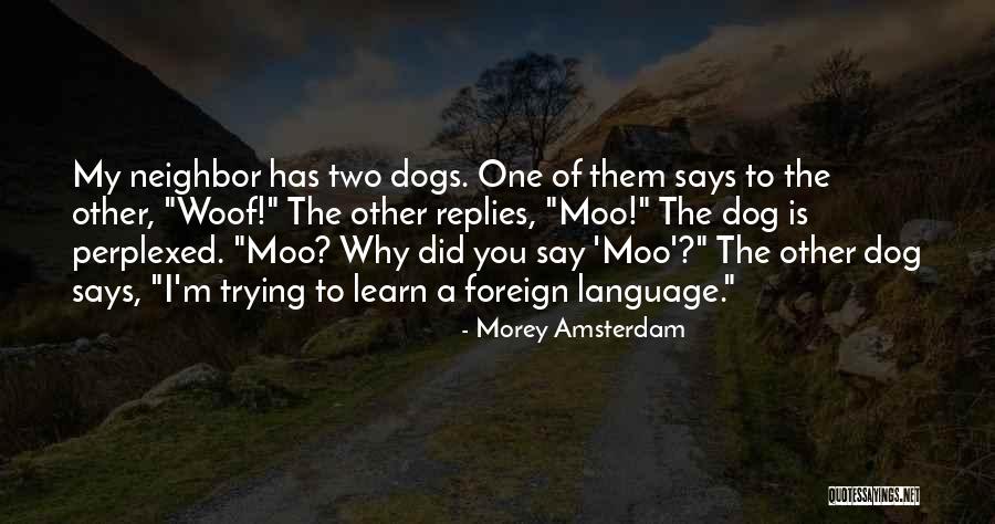 Saumya Liyanage Quotes By Morey Amsterdam Saumya Liyanage Quotes By Morey Amsterdam