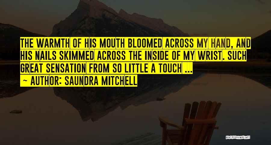 Saundra Mitchell Quotes 968861