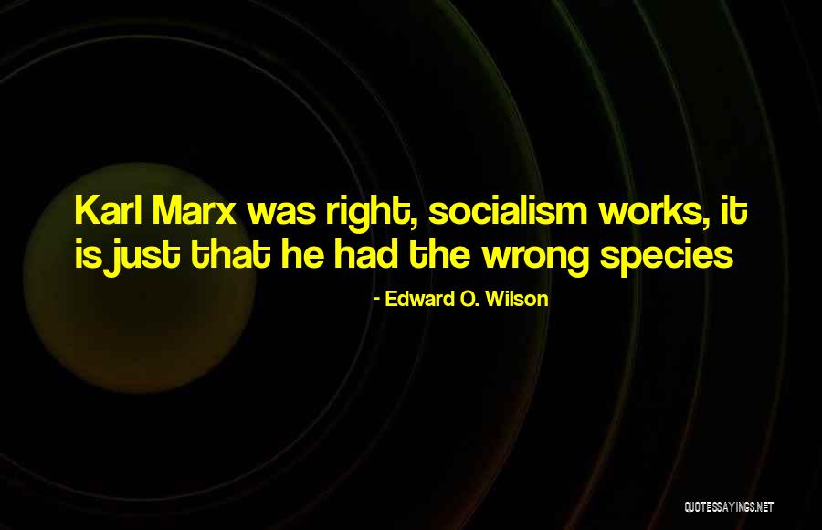 Sauret Scott Quotes By Edward O. Wilson Sauret Scott Quotes By Edward O. Wilson