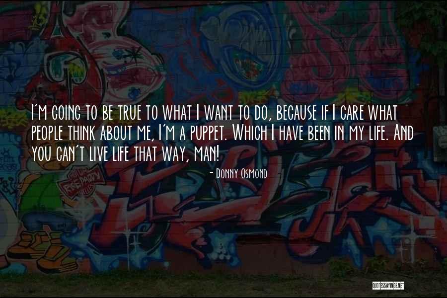 Saurin Shah Quotes By Donny Osmond Saurin Shah Quotes By Donny Osmond