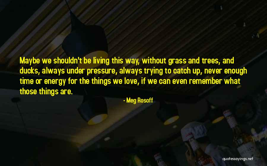 Sauroglossum Quotes By Meg Rosoff Sauroglossum Quotes By Meg Rosoff