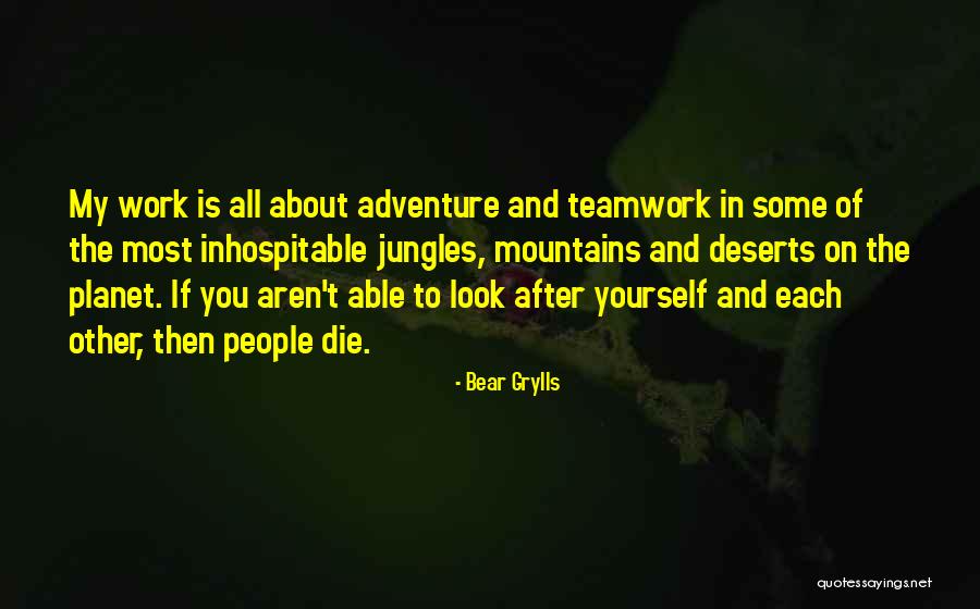 Sausserdis Quotes By Bear Grylls Sausserdis Quotes By Bear Grylls