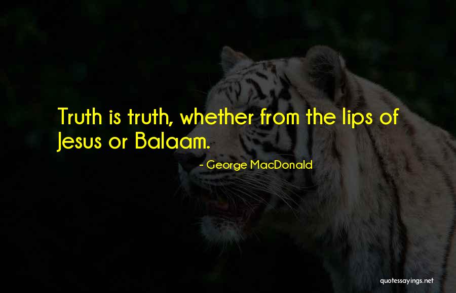 Sauvain Michel Quotes By George MacDonald