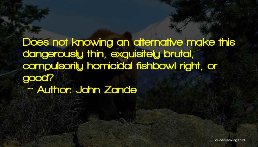 Sauvain Michel Quotes By John Zande