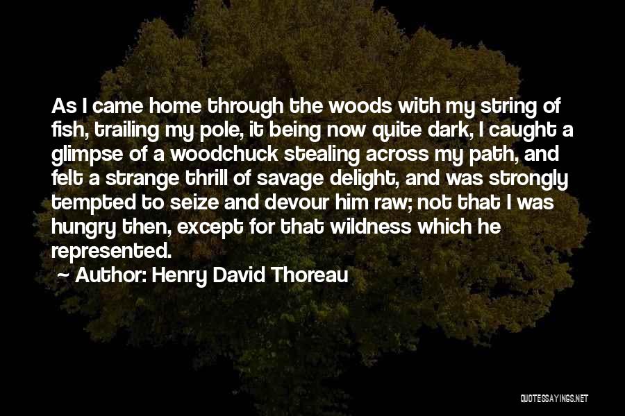 Savage Delight Quotes By Henry David Thoreau