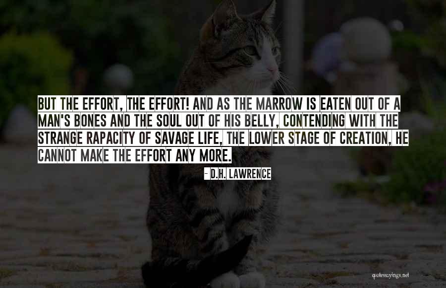 Savage Life Quotes By D.H. Lawrence Savage Life Quotes By D.H. Lawrence