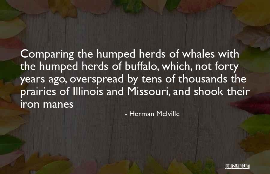 Savagely Fierce Quotes By Herman Melville Savagely Fierce Quotes By Herman Melville