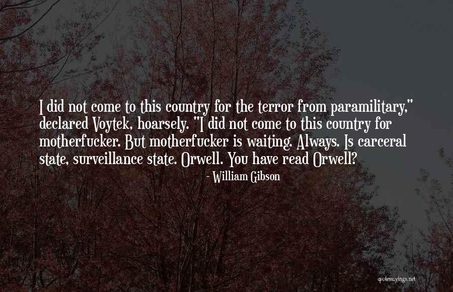Savaka Buddha Quotes By William Gibson Savaka Buddha Quotes By William Gibson