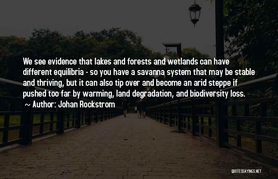 Savanna Quotes By Johan Rockstrom