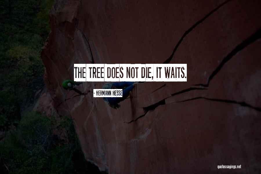 Savarino Companies Quotes By Hermann Hesse Savarino Companies Quotes By Hermann Hesse
