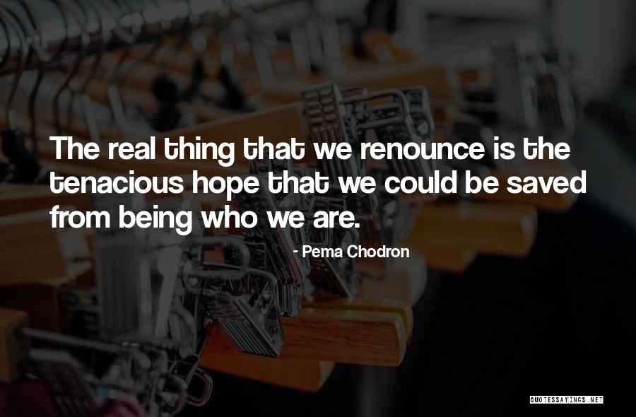 Savarinos Cucina Quotes By Pema Chodron