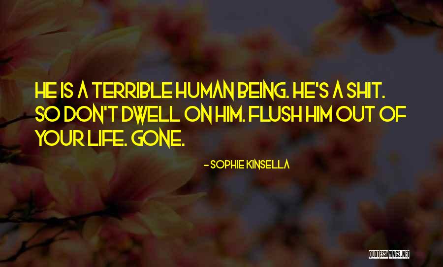 Savater Fabric Softener Quotes By Sophie Kinsella Savater Fabric Softener Quotes By Sophie Kinsella