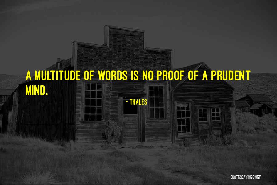 Savater Stallone Quotes By Thales Savater Stallone Quotes By Thales