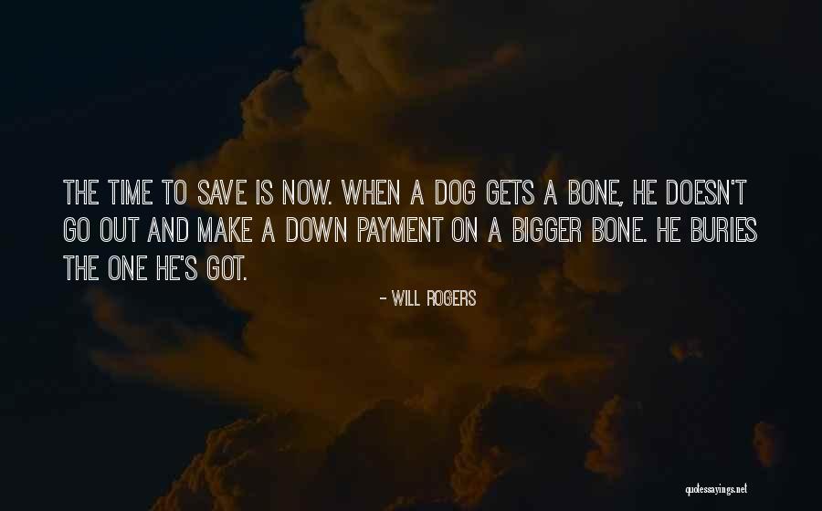 Save A Dog Quotes By Will Rogers