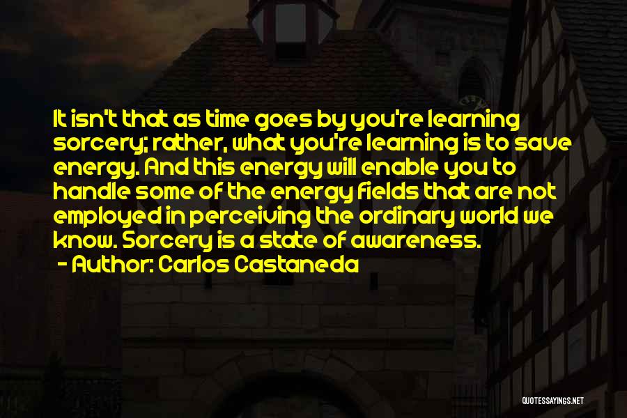 Save Energy Quotes By Carlos Castaneda