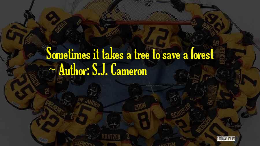 Save Forest Quotes By S.J. Cameron