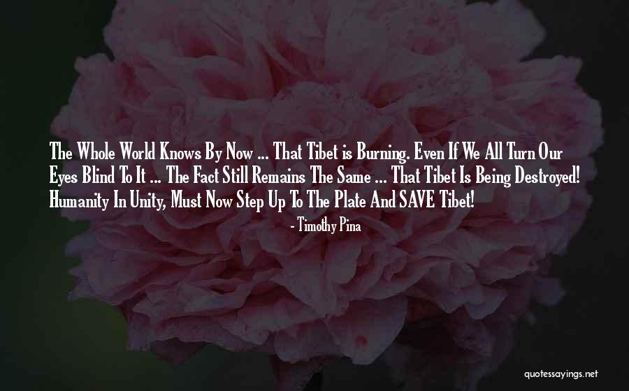 Save Humanity Quotes By Timothy Pina Save Humanity Quotes By Timothy Pina