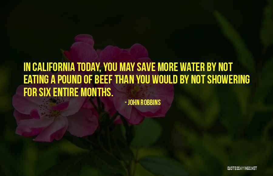 Save More Quotes By John Robbins Save More Quotes By John Robbins