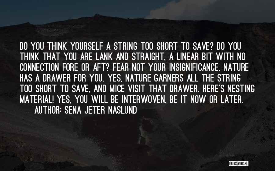 Save Nature Short Quotes By Sena Jeter Naslund