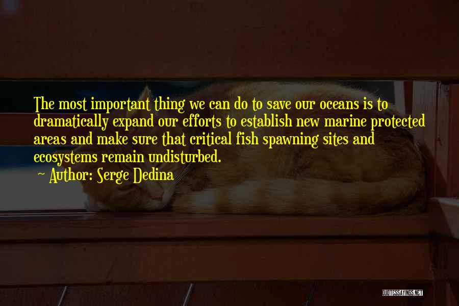 Save Our Oceans Quotes By Serge Dedina
