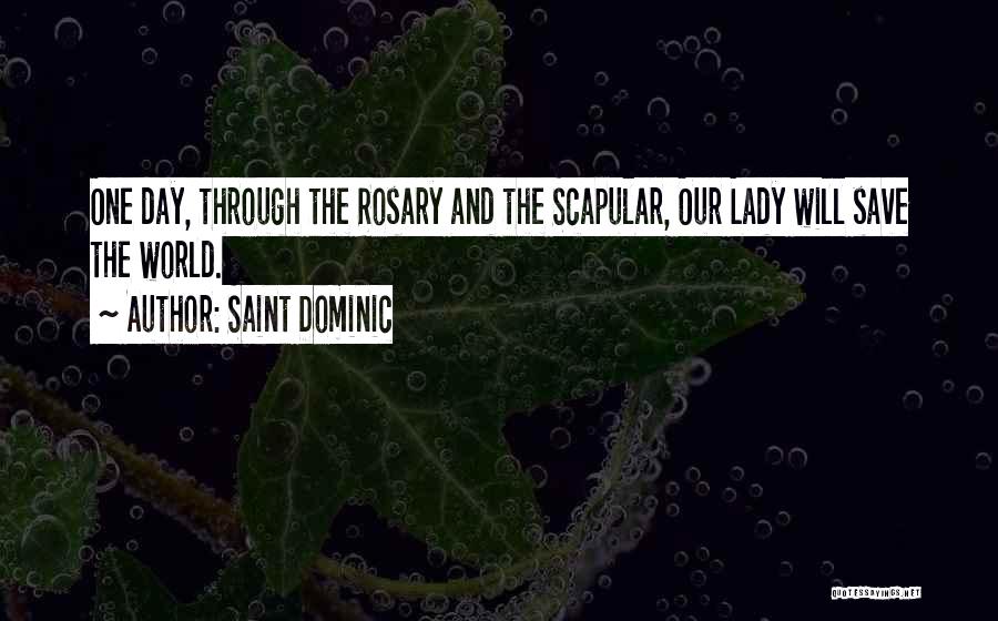 Save Our World Quotes By Saint Dominic